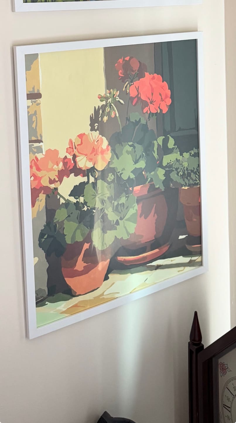 Customer photo review of Terracotta Geraniums | Paint by Number