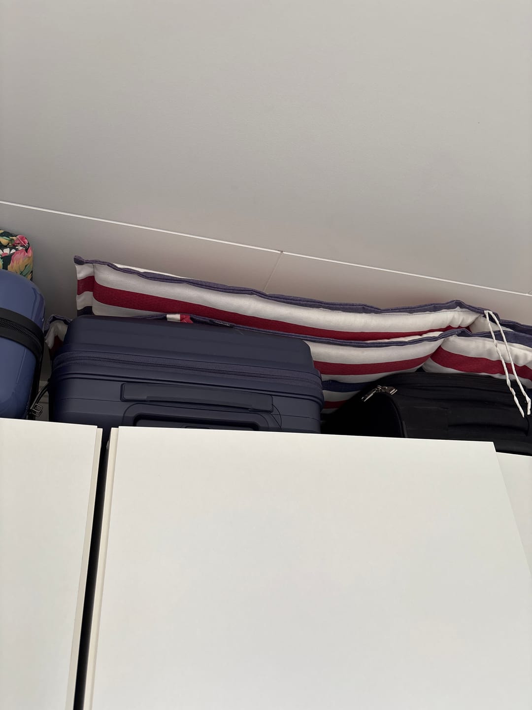 Customer photo review of Halo SPR. 55 cm EXP. PeacotBLUE