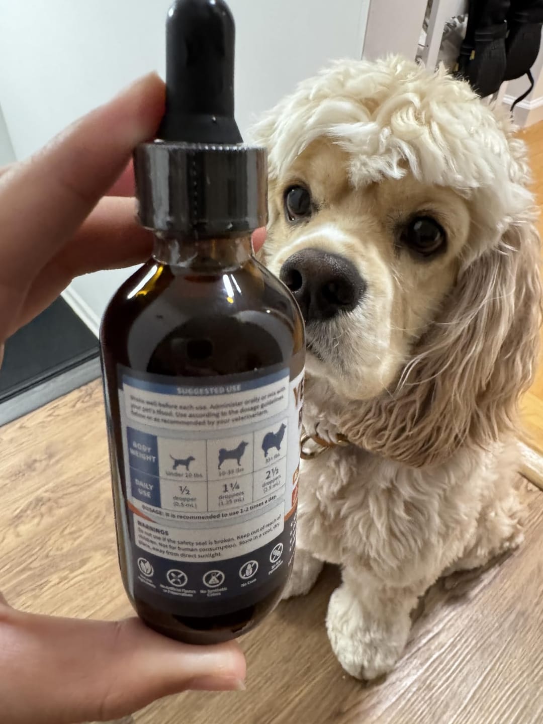 Customer photo review of Fórmula Veterinaria Natural para Eliminar Hongos en Perros