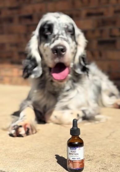 Customer photo review of Fórmula Veterinaria Natural para Eliminar Hongos en Perros