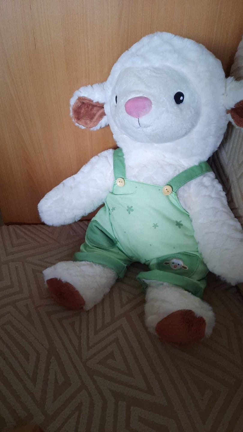 Customer photo review of Lotgenootje Schaap 2kg