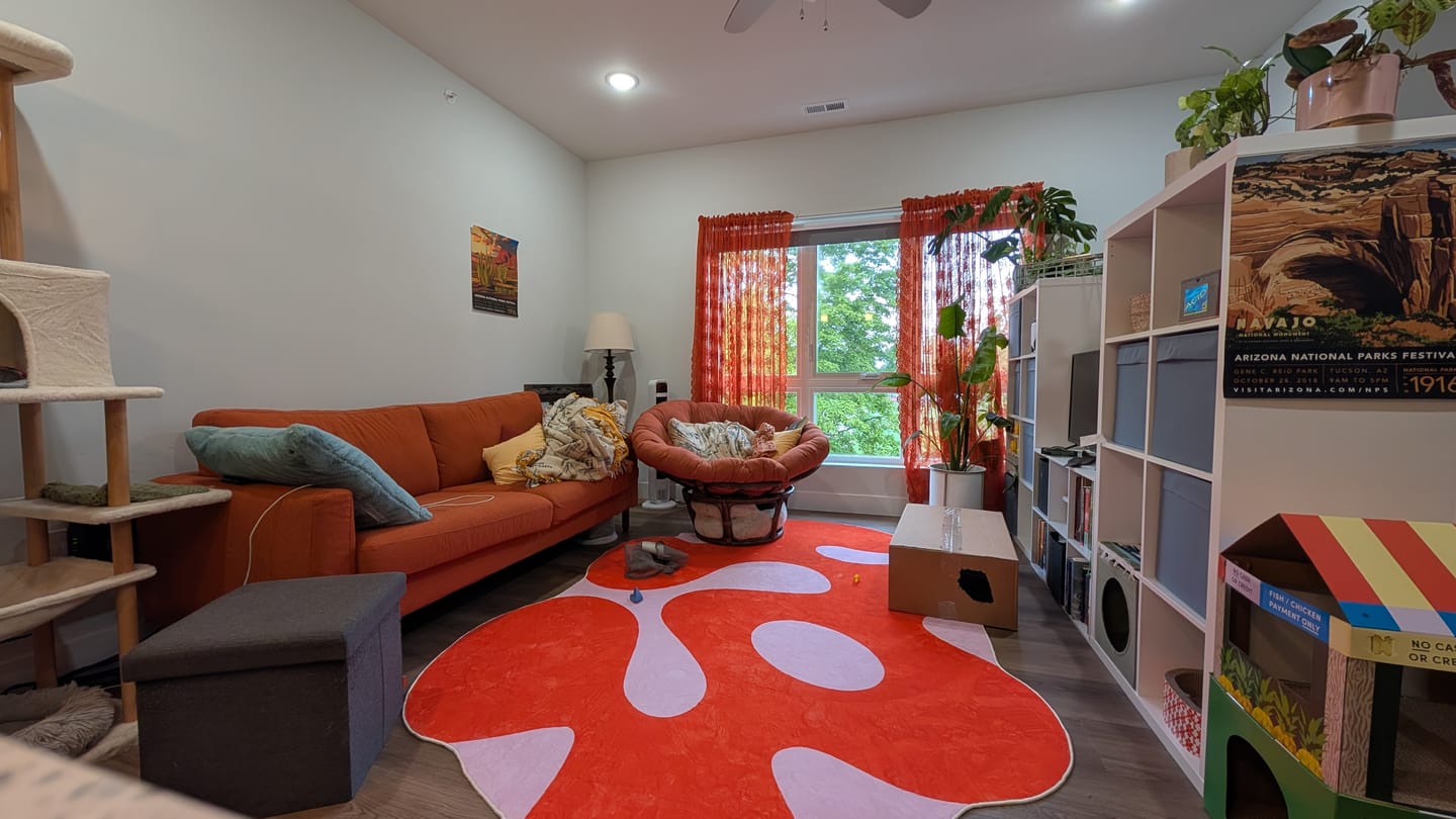 Customer photo review of Irregular Orange Moss Design Rug by Johann Banta