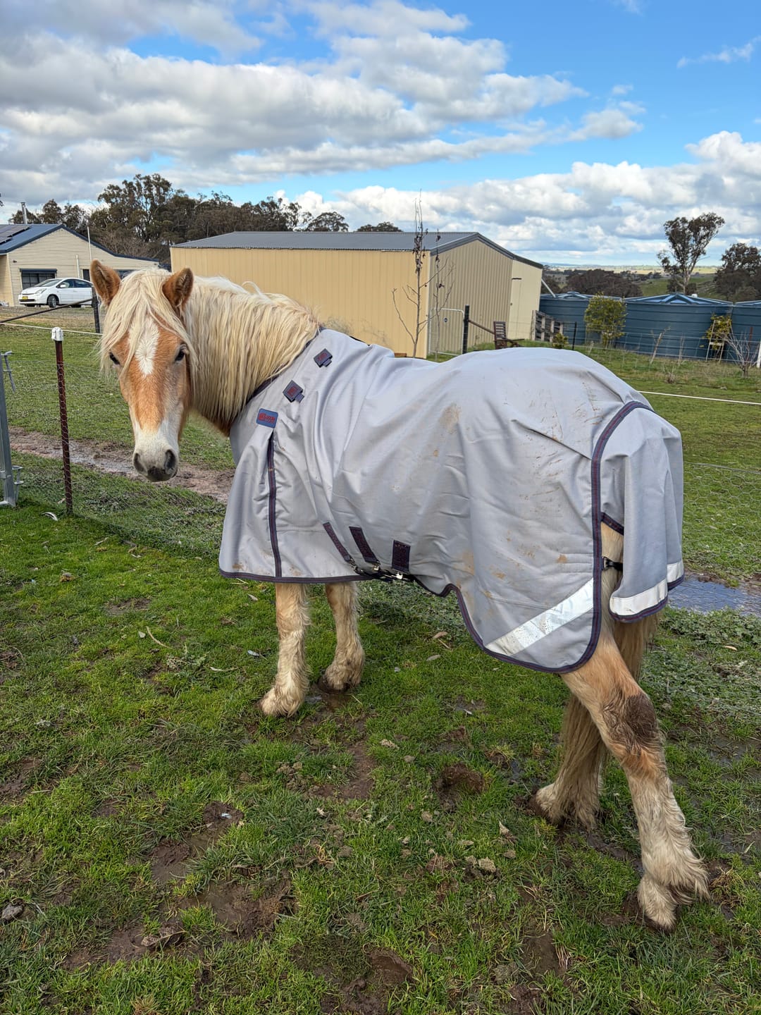 Customer photo review of LE Boxter Turnout Ripstop 50g