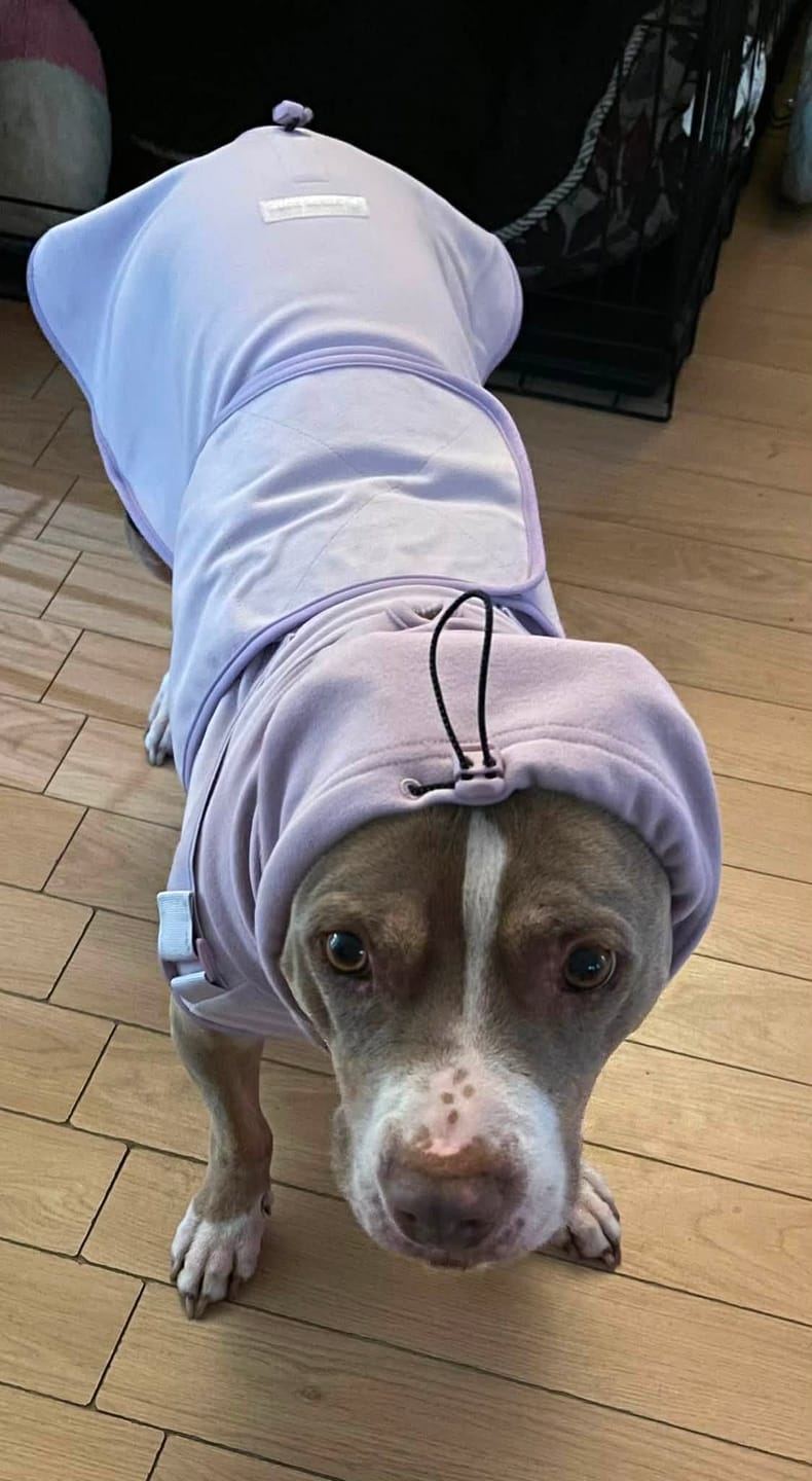 Customer photo review of Anxiety Calming Suit - Purple