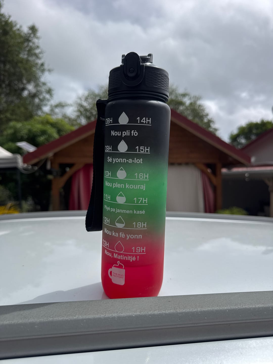Customer photo review of Couvercle Tasty Bottle
