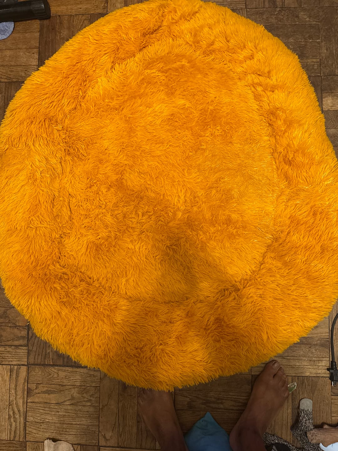 Customer photo review of The Original Fluffy Bean® Pet Bed