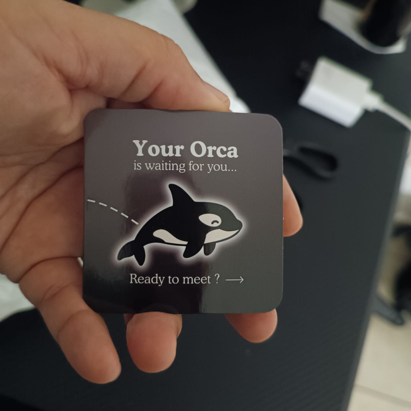 Customer photo review of Orca Adoption Plushie