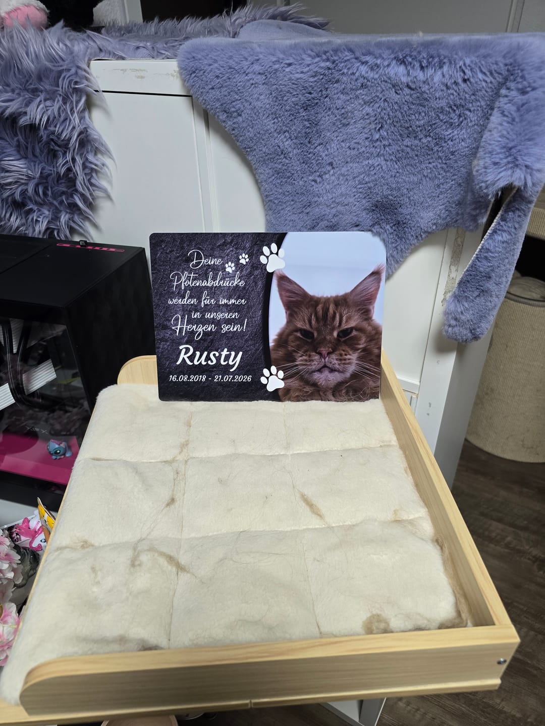Customer photo review of Katzen Gedenktafel mit Foto & Spruch (UV- & Wetterfest)