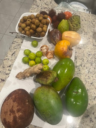 Customer photo review of Avocado