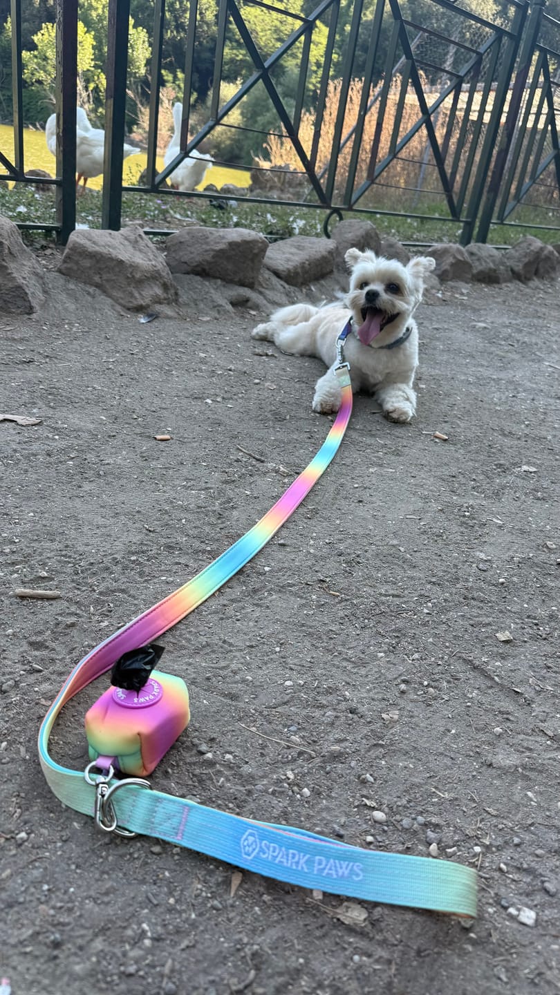 Customer photo review of Leash and Poop Bag Holder Set - Pastel Icing