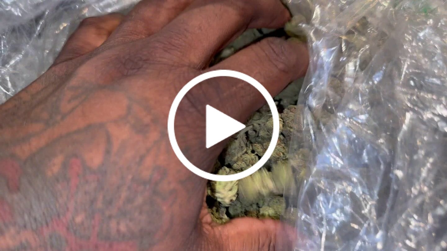Customer video review of Black Cherry Cookies - Bulk - Hybrid