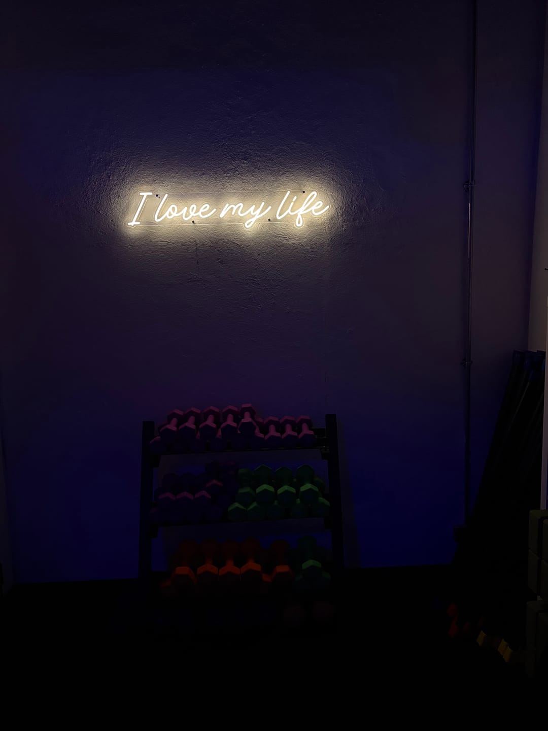 Customer photo review of Custom Neon: I love my life