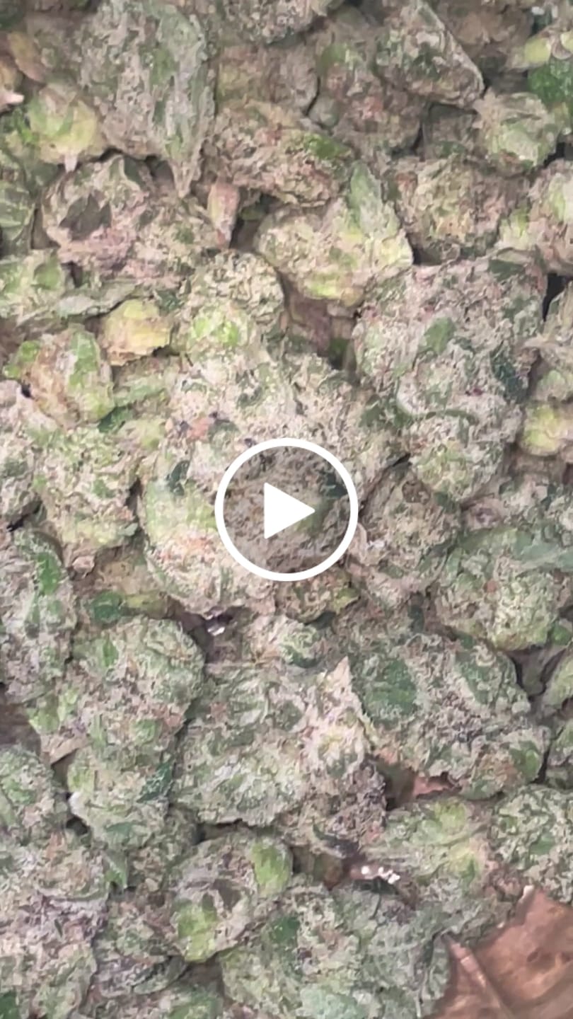 Customer video review of Blueberry Smalls THCA Flower (Exotic)