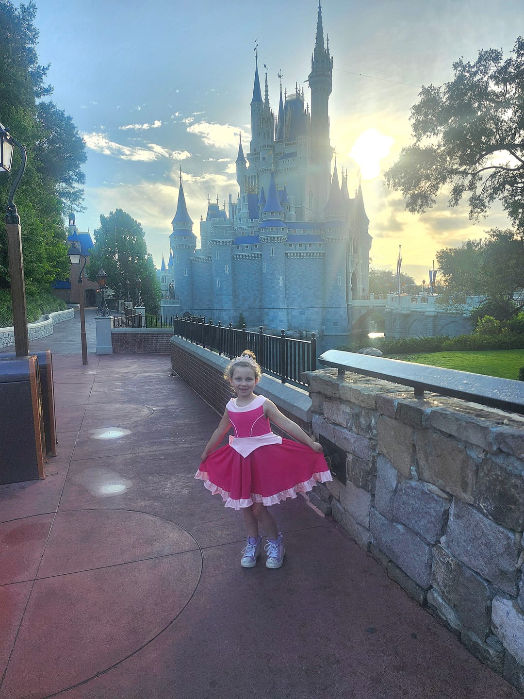 Customer photo review of Make it Pink Sleeping Beauty Twirl Dress