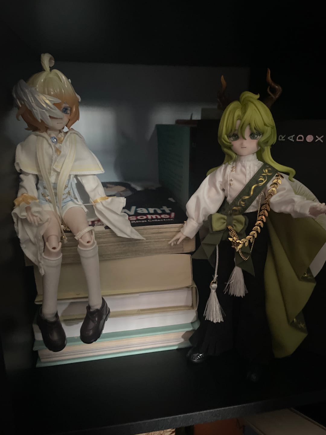 Customer photo review of Niyru Loi The Omniflora Garden Series 1/8 Action Figure BJD Blind Box