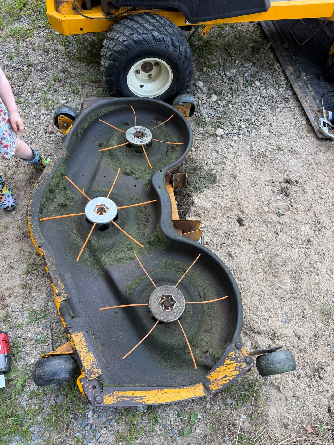 Customer photo review of Mower Blade Replacement (1-Blade System) REVO6 2.0