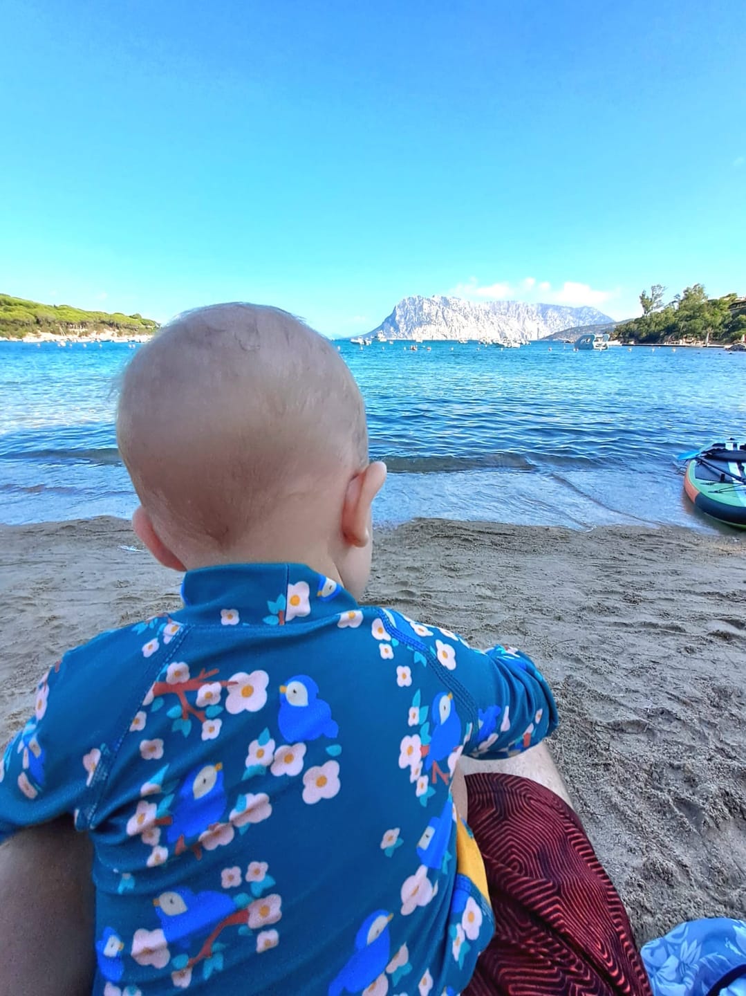 Customer photo review of Bluebirds UPF 50+ Sunsafe Long Sleeve Rash Vest