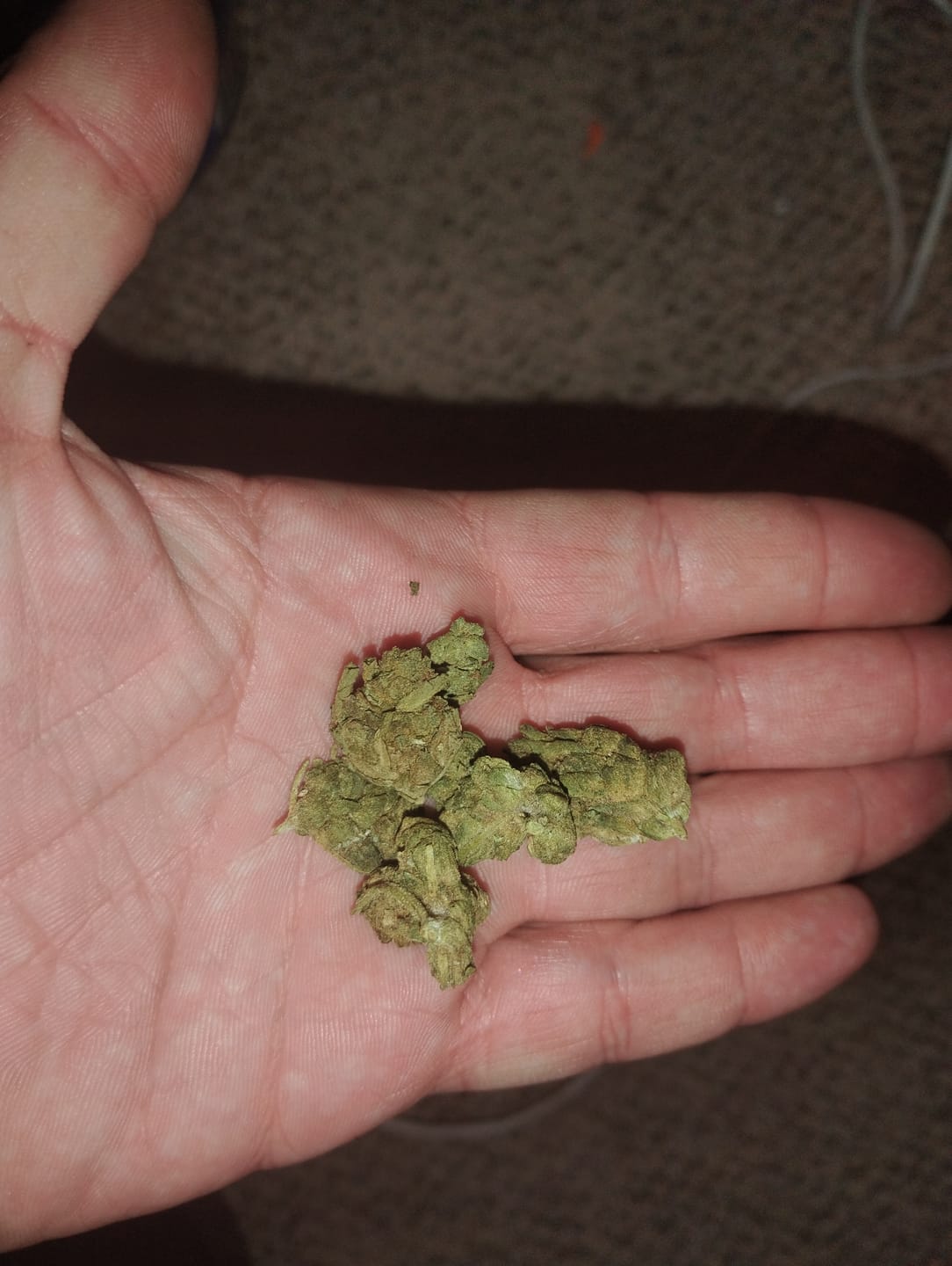 Customer photo review of GMO - 28 Grams - Indica