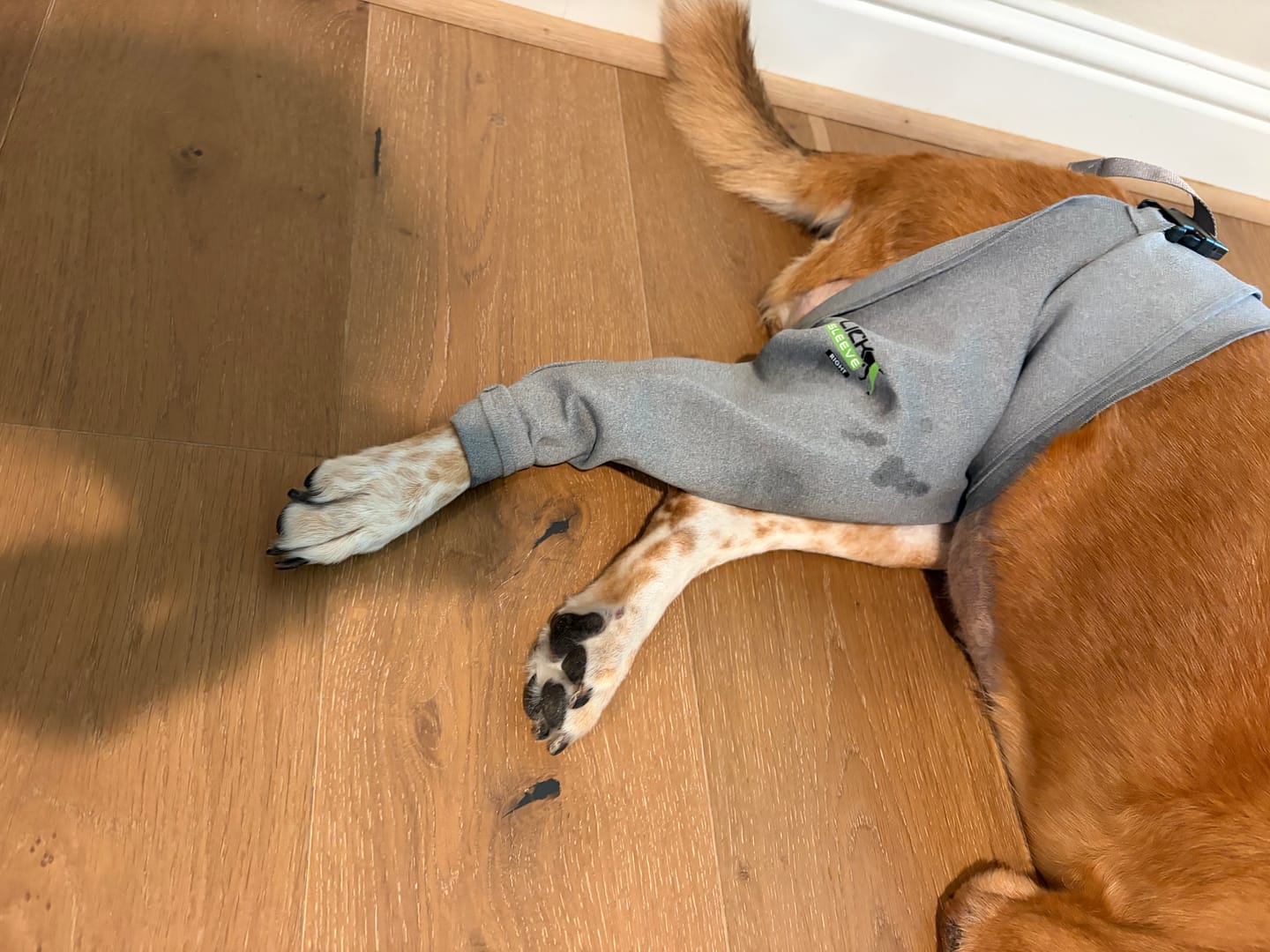 Customer photo review of Lick Sleeve® Leg Sleeve