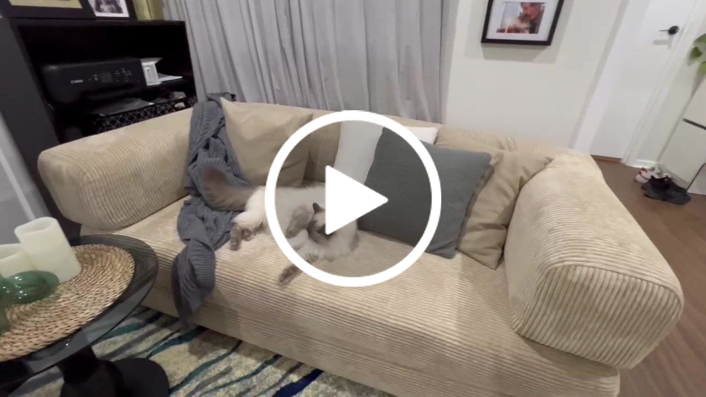 Customer video review of Nova Sofa Bed-Dune
