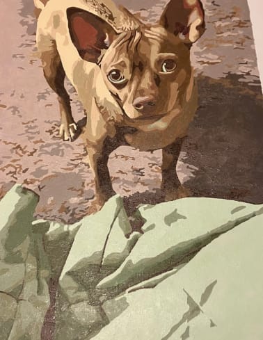 Customer's custom paint by numbers dog portrait, showing brown pet on a patterned background.