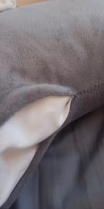 Customer photo review of Demeter - Detachable Maternity Pillow – G-Shaped Crystal Velvet Lumbar Support Cushion for Pregnant Side-Lying