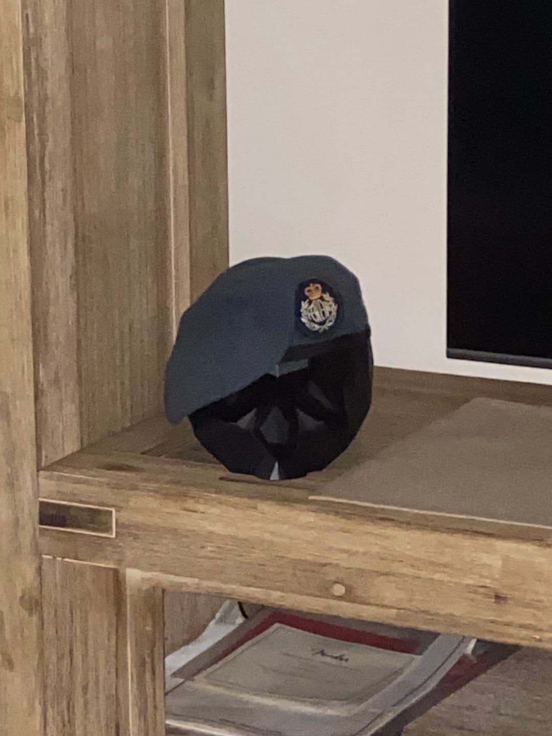 Customer photo review of Black Skull Stand