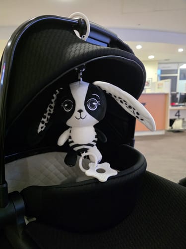 Customer photo review of Billie the Bunny – High Contrast Hanging Pram Toy