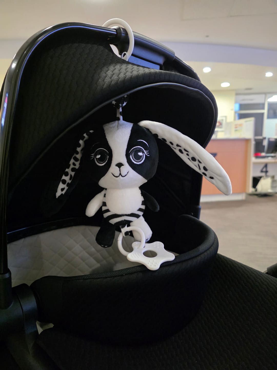 Customer photo review of Billie the Bunny – High Contrast Hanging Pram Toy