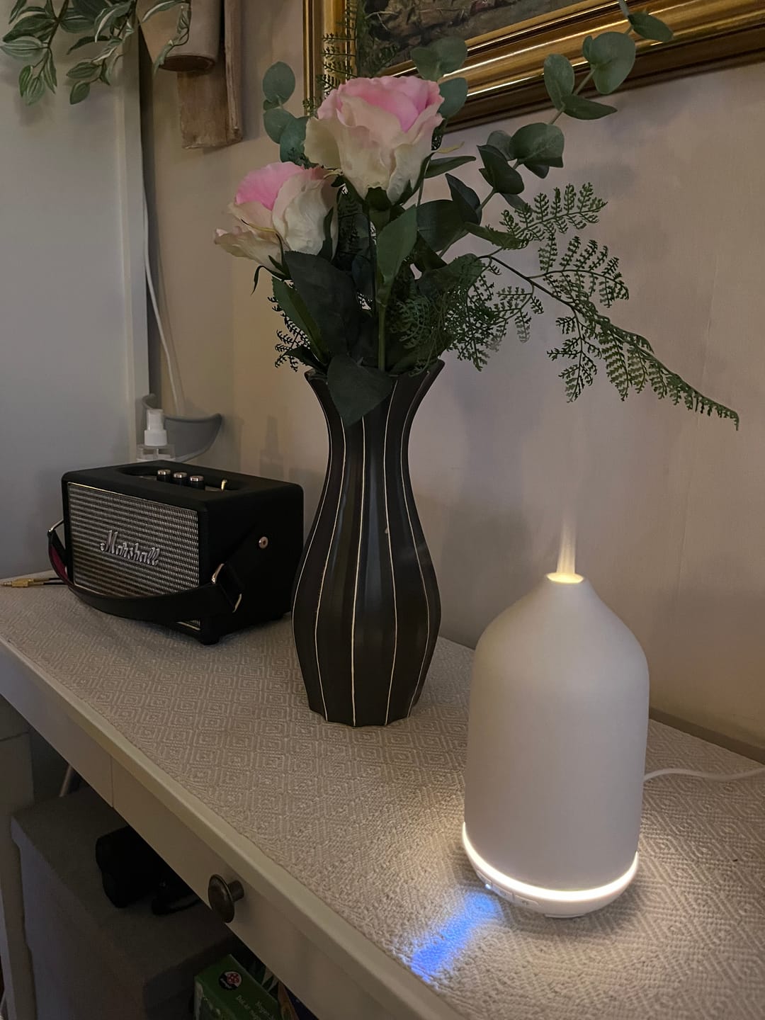 Customer photo review of Diffuser Vit