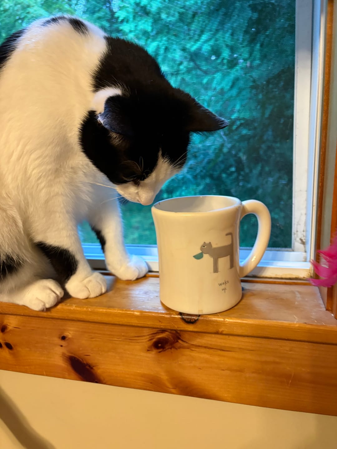 Customer photo review of Mushroom Coffee
