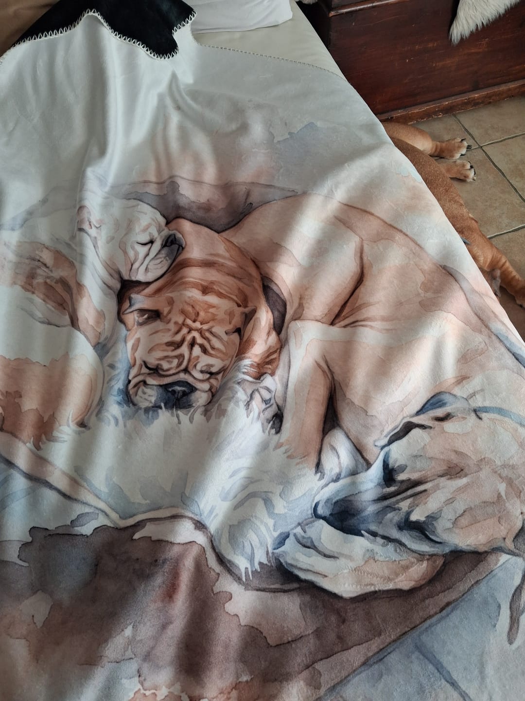 Customer photo review of Personalisierte Decke "Aquarell Haustier"