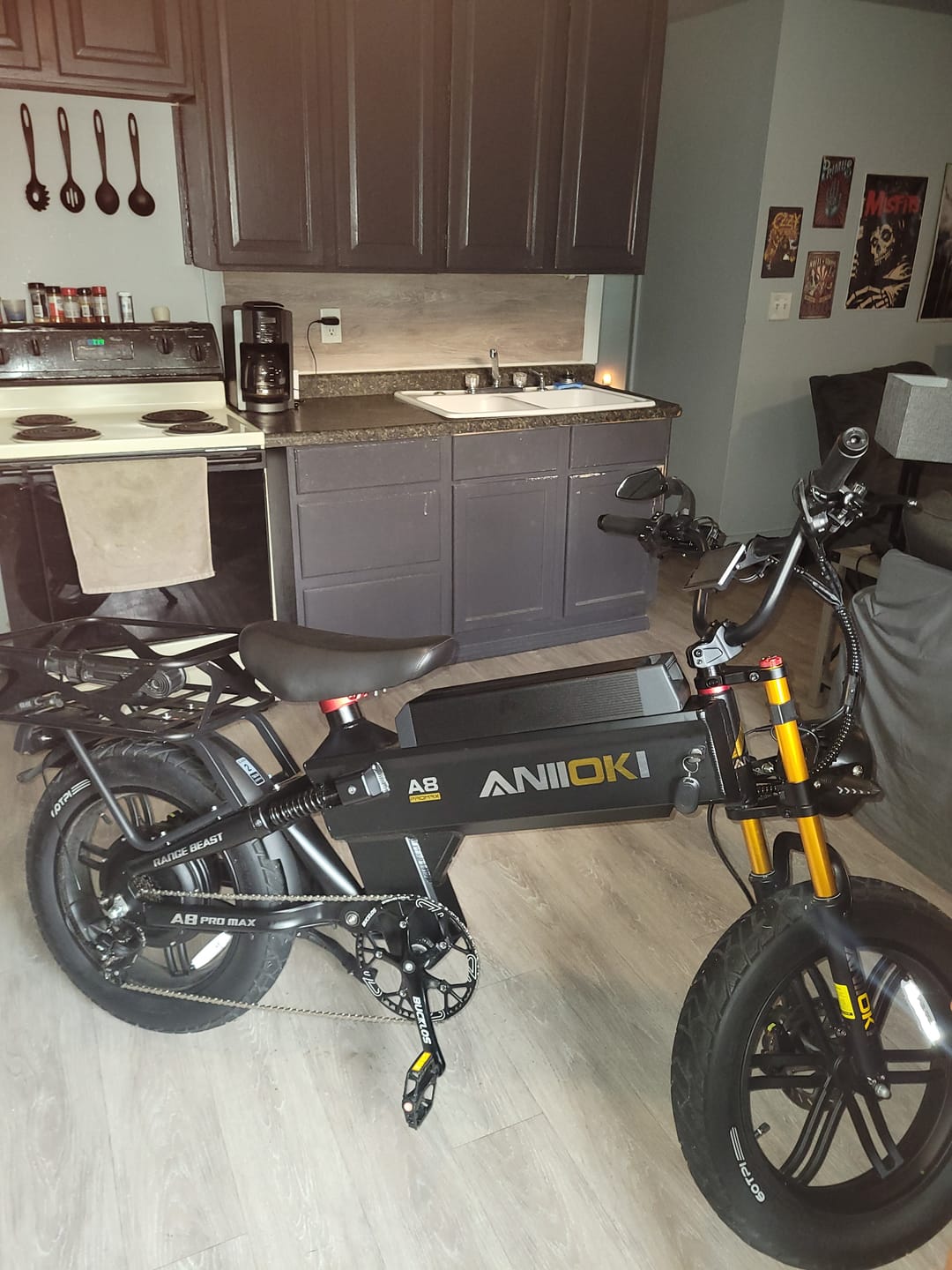 Customer photo review of A8 Pro Max Ultra eBikes