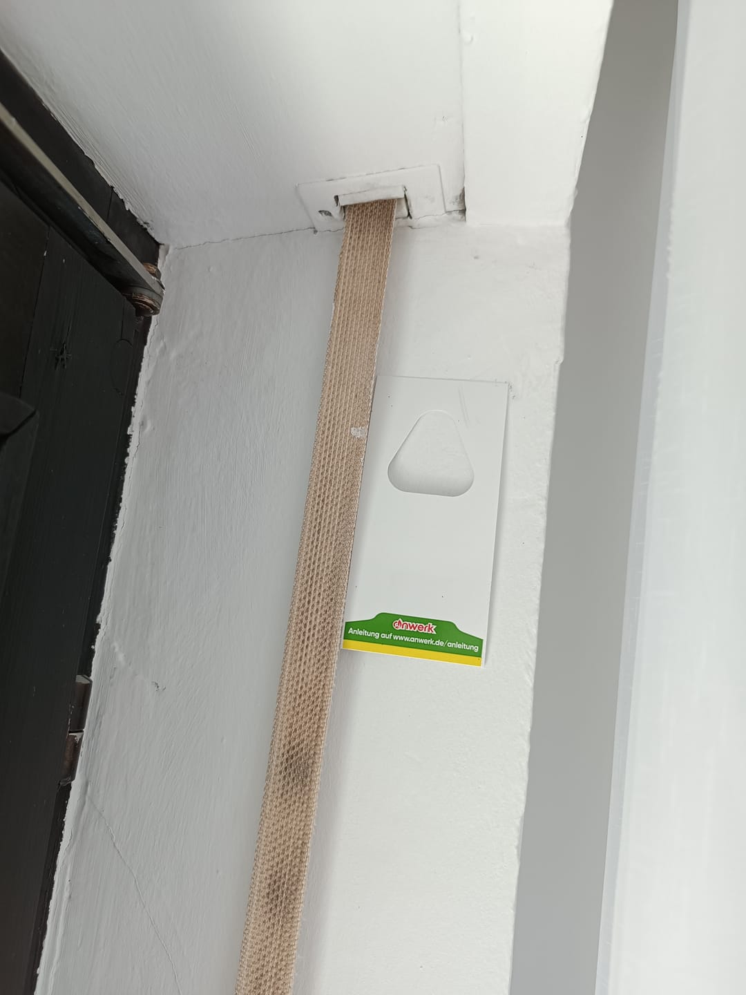 Customer photo review of Schlupfwespen gegen Kleidermotten.