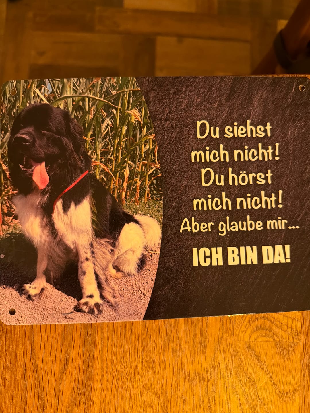 Customer photo review of Hunde-Türschild personalisiert mit Foto & Text (UV- und wetterfest)