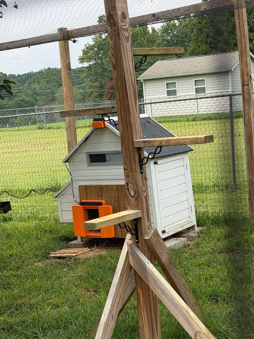 Customer photo review of Solar Automatic Chicken Coop Door