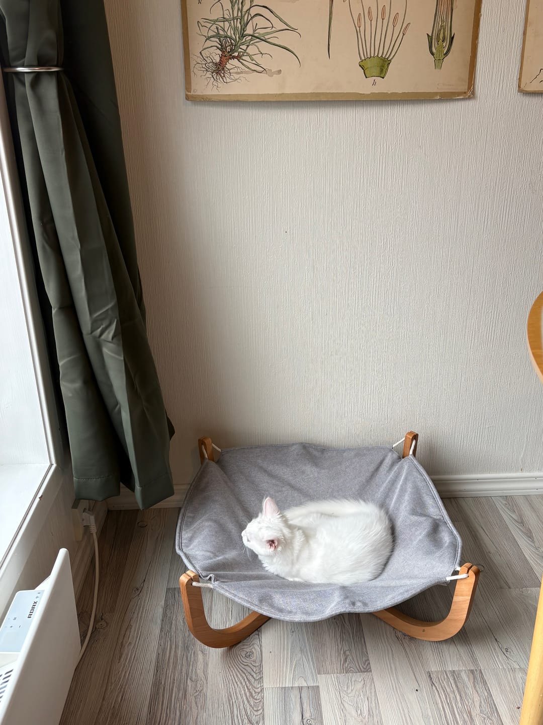 Customer photo review of Hengekøye katteseng