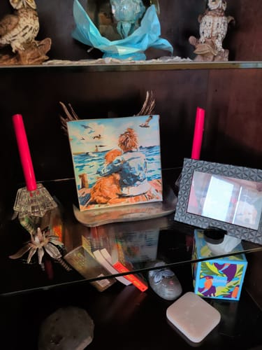 Customer photo review of Woman And Dog Beach Dock