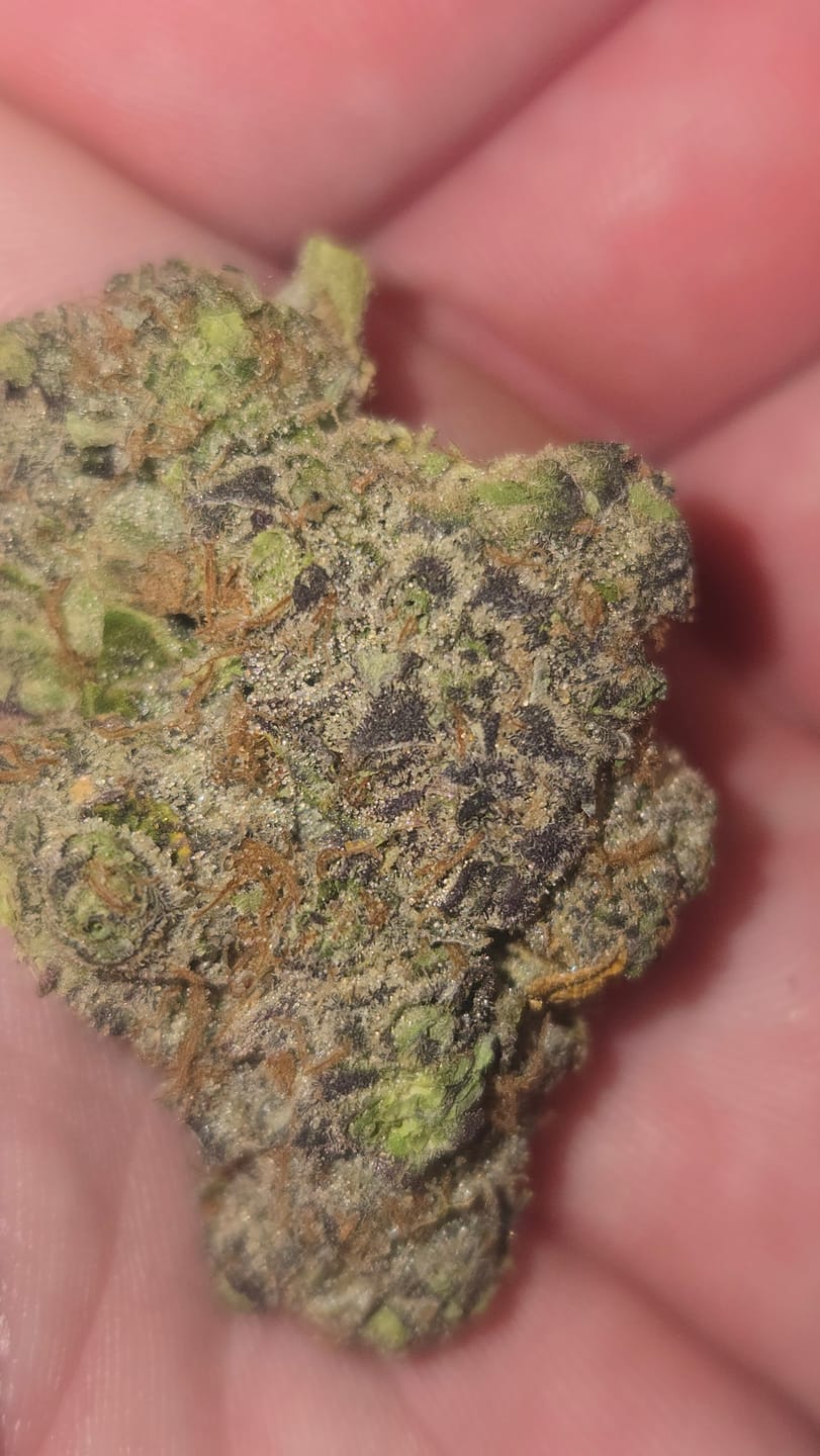 Customer photo review of Indoor Exotics - Hashburger - 4 Grams - Indica