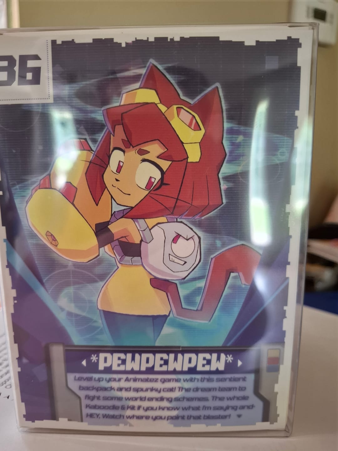 Customer photo review of Kit & Kaboodle Animatez