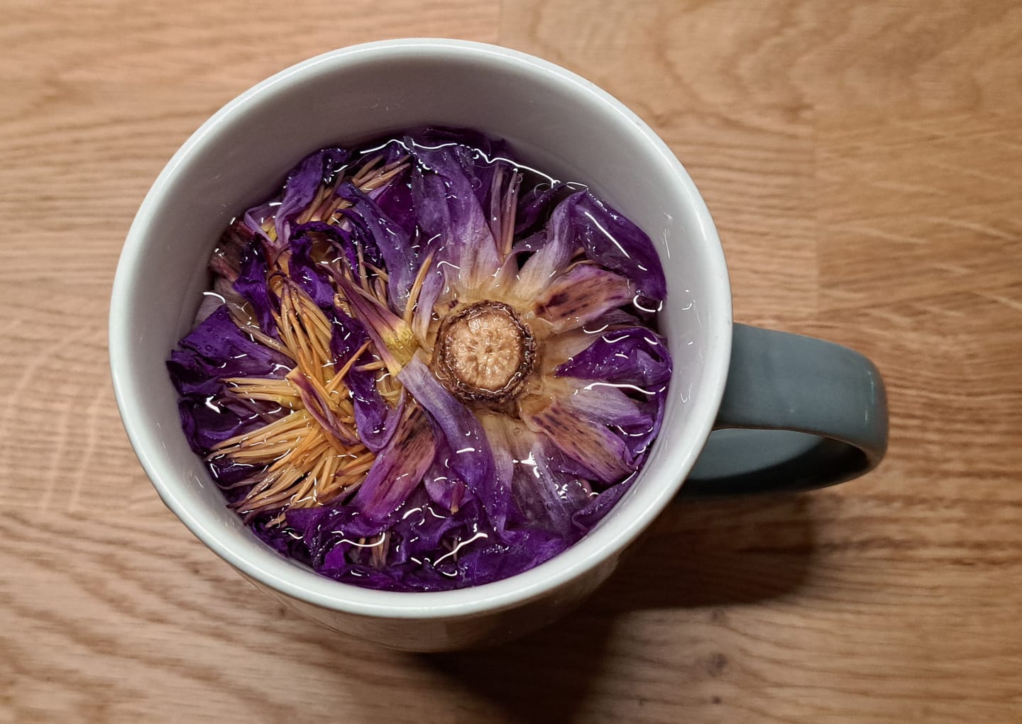Customer photo review of Blue Lotus Flower (Nymphaea Nouchali )