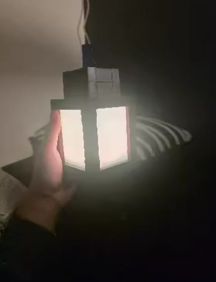 Customer photo review of Lampara Led Farol