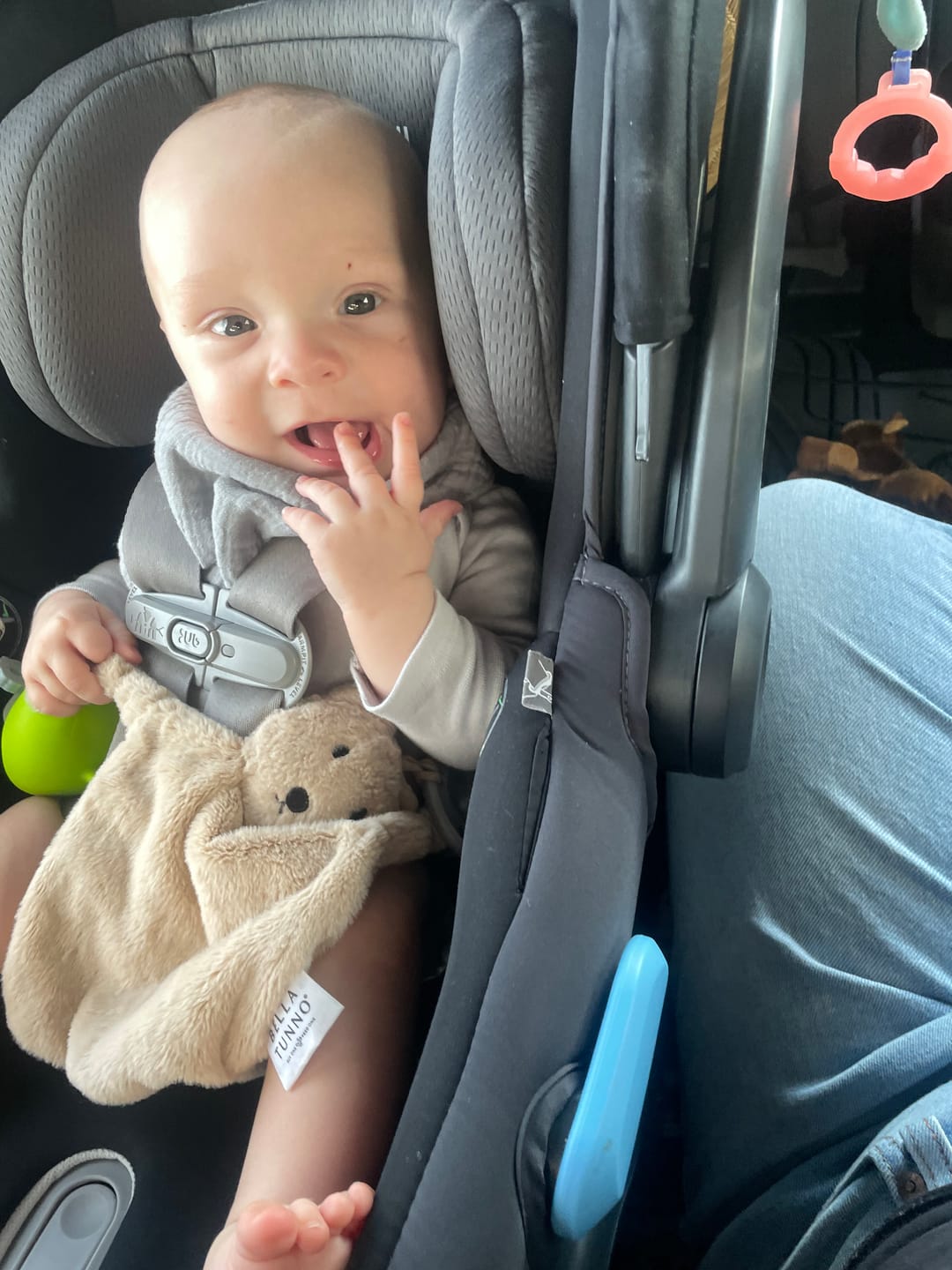 Customer photo review of Pacifier Buddy Bernie the Bear