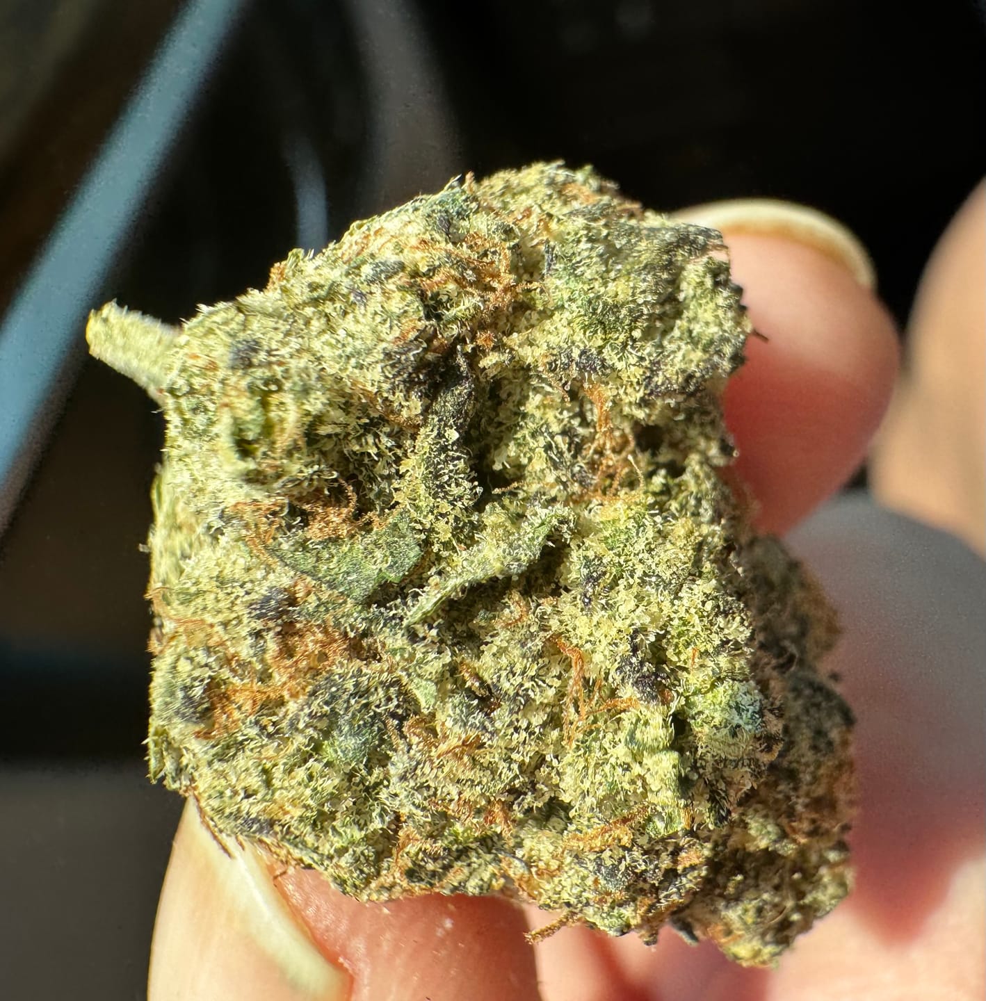Customer photo review of Boutique Exotics Lemon Dior - Bulk - Hybrid