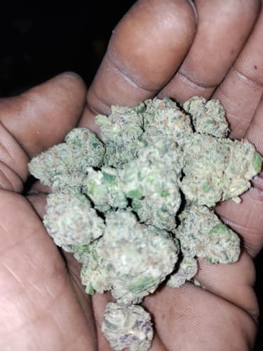 Boutique Exotics - Mylar Magic - 28 Grams - Hybrid photo review
