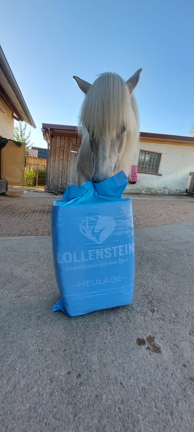 Customer photo review of Lollenstein zuckerreduzierte Ansaatheulage 2. Schnitt - Für dein Pferd mit Kotwasserproblem