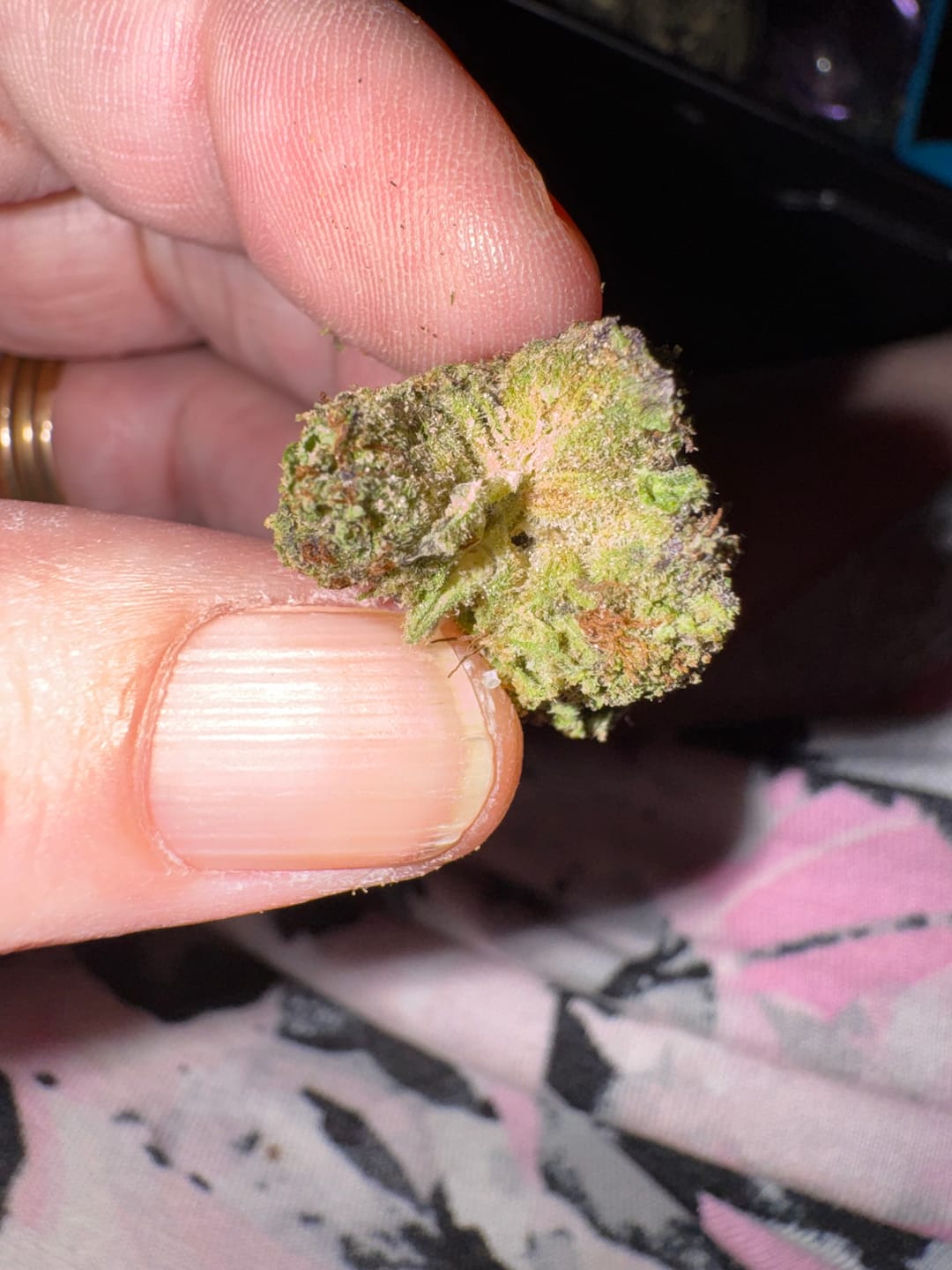 Customer photo review of Purple Octane - Bulk - Indica