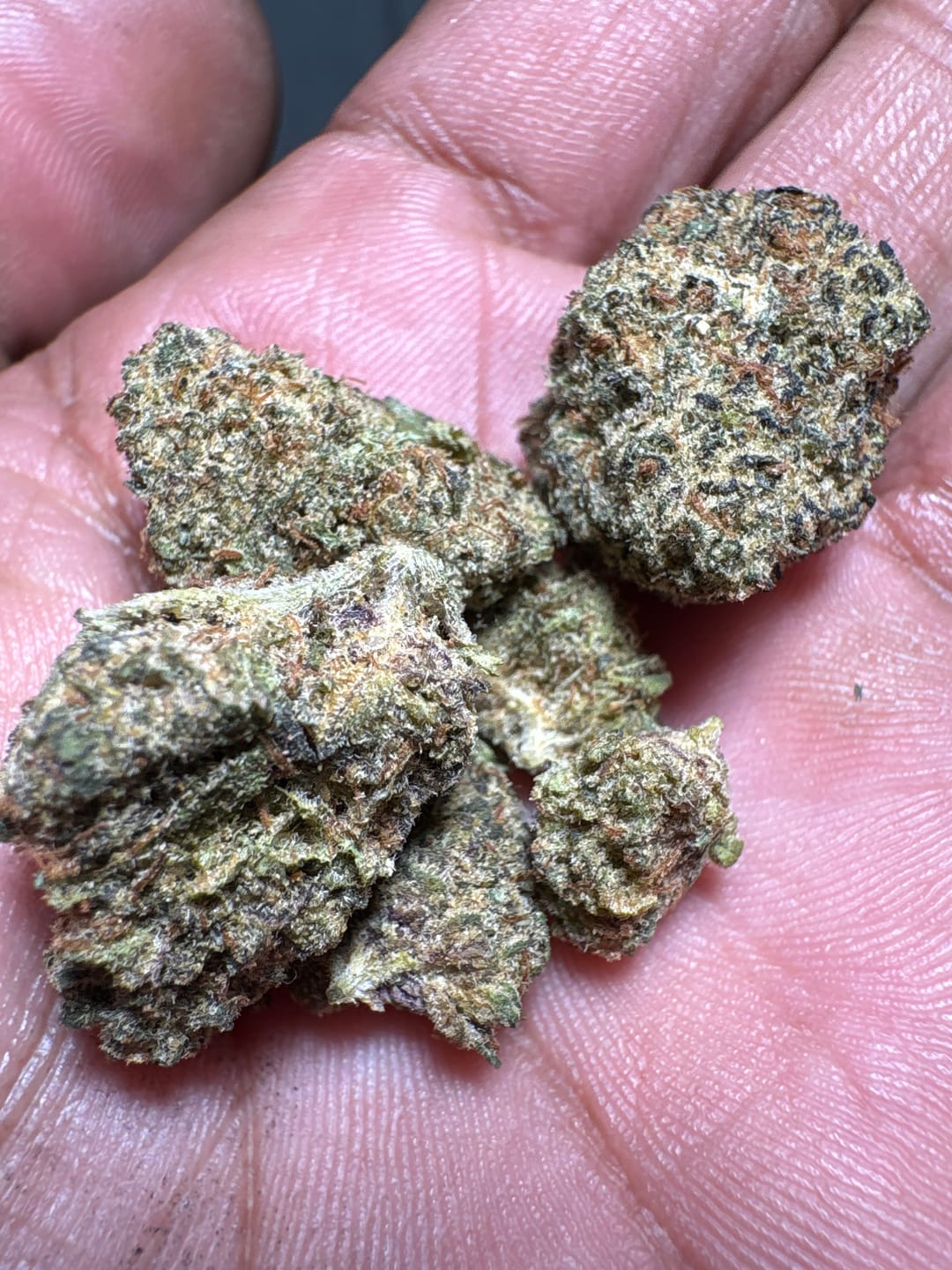 Customer photo review of Mochi Gelato - Indoor
