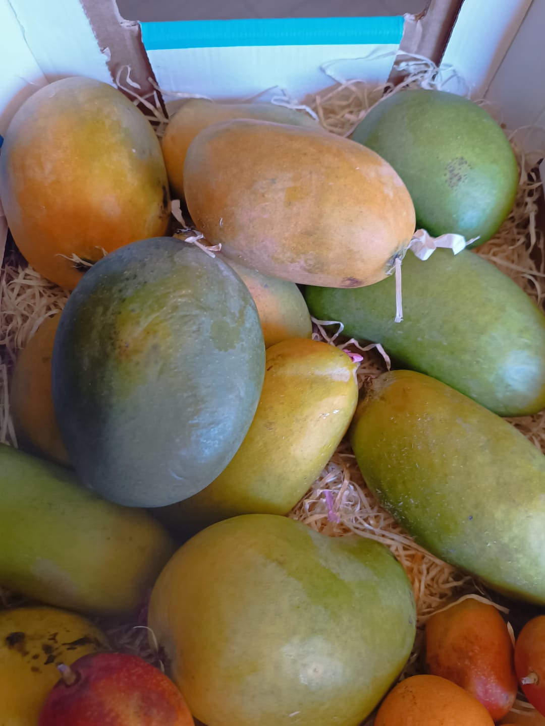 Customer photo review of Ägyptische Mango Entdeckerbox