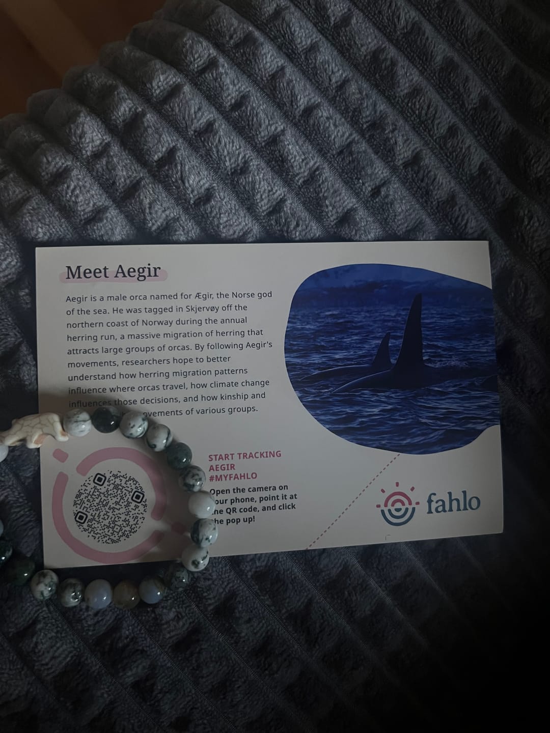 Customer photo review of The Charge Bracelet